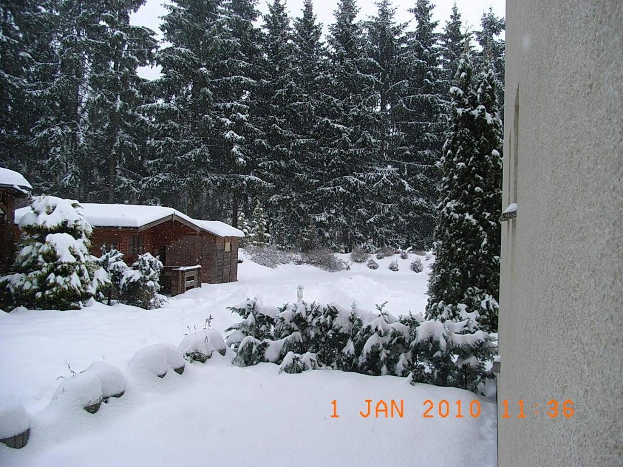 Blechleppel - Die Pension Im Harz Benneckenstein Exterior photo